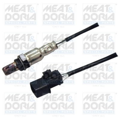 Oxygen Sensor